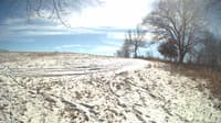 The field cam, Feb 18, 2024 at 10:45am