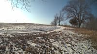 The field cam, Feb 20, 2024 at 7:15am