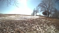 The field cam, Feb 20, 2024 at 9:45am