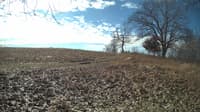 The field cam, Feb 21, 2024 at 8:47am