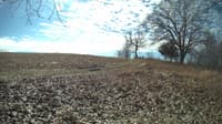 The field cam, Feb 21, 2024 at 9:02am