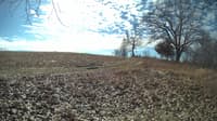 The field cam, Feb 21, 2024 at 9:04am