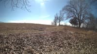 The field cam, Feb 21, 2024 at 9:54am
