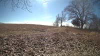 The field cam, Feb 21, 2024 at 10:00am