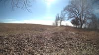 The field cam, Feb 21, 2024 at 10:23am