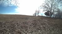The field cam, Feb 21, 2024 at 10:32am