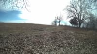 The field cam, Feb 21, 2024 at 10:34am