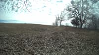 The field cam, Feb 21, 2024 at 10:43am