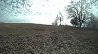 The field cam, Feb 21, 2024 at 11:21am