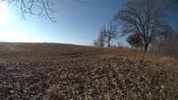 The field cam, Feb 22, 2024 at 7:02am