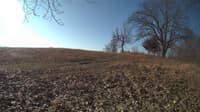The field cam, Feb 22, 2024 at 7:24am