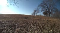 The field cam, Feb 22, 2024 at 7:32am