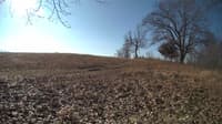 The field cam, Feb 22, 2024 at 7:55am