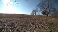 The field cam, Feb 22, 2024 at 7:59am
