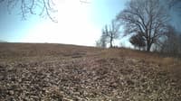 The field cam, Feb 22, 2024 at 9:41am