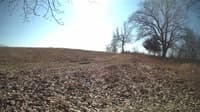 The field cam, Feb 22, 2024 at 10:08am
