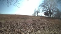 The field cam, Feb 22, 2024 at 10:32am
