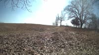 The field cam, Feb 22, 2024 at 10:38am
