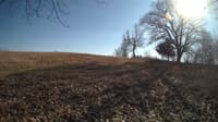 The field cam, Feb 22, 2024 at 12:40pm