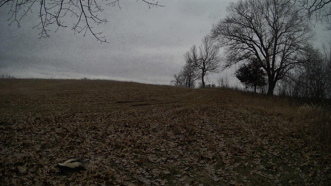 The construction cam, Feb 23, 2024 · 8:18am