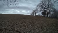 The field cam, Feb 23, 2024 at 9:48am