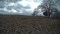 The field cam, Feb 23, 2024 at 10:17am