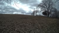 The field cam, Feb 23, 2024 at 10:40am