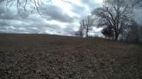 The field cam, Feb 23, 2024 at 10:45am