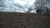 The field cam, Feb 23, 2024 at 10:46am