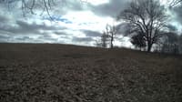 The field cam, Feb 23, 2024 at 11:46am