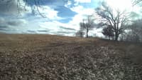 The field cam, Feb 23, 2024 at 12:15pm