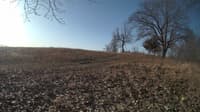 The field cam, Feb 24, 2024 at 7:01am