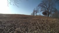 The field cam, Feb 24, 2024 at 7:22am