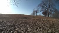 The field cam, Feb 24, 2024 at 7:30am