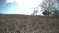 The field cam, Feb 24, 2024 at 9:39am