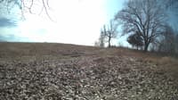 The field cam, Feb 24, 2024 at 10:05am