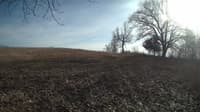 The field cam, Feb 24, 2024 at 1:02pm