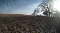 The field cam, Feb 24, 2024 at 1:38pm