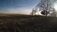 The field cam, Feb 24, 2024 at 2:15pm