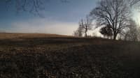 The field cam, Feb 24, 2024 at 2:20pm