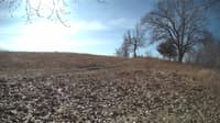 The field cam, Feb 25, 2024 at 8:33am