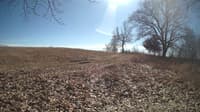 The field cam, Feb 25, 2024 at 10:58am
