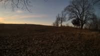 The field cam, Feb 26, 2024 at 5:17am