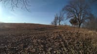The field cam, Feb 26, 2024 at 6:28am
