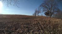 The field cam, Feb 26, 2024 at 6:40am