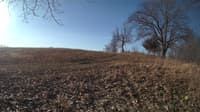 The field cam, Feb 26, 2024 at 6:52am