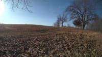 The field cam, Feb 26, 2024 at 6:56am