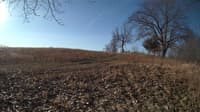The field cam, Feb 26, 2024 at 6:58am