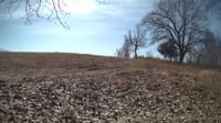 The field cam, Feb 26, 2024 at 9:19am