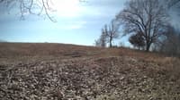 The field cam, Feb 26, 2024 at 9:25am